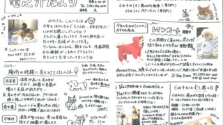 2026年6月 竜之介だより第285号
