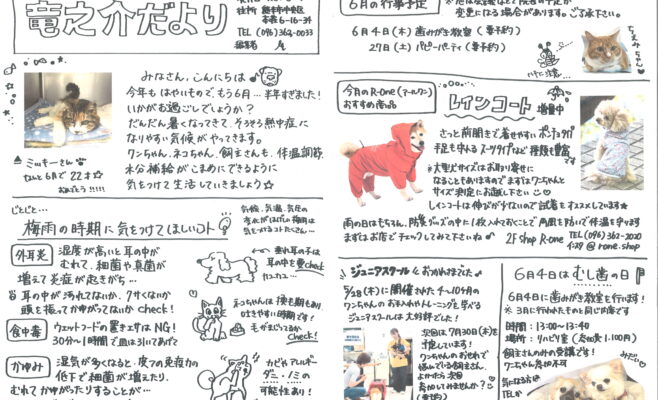 6月の竜之介だより