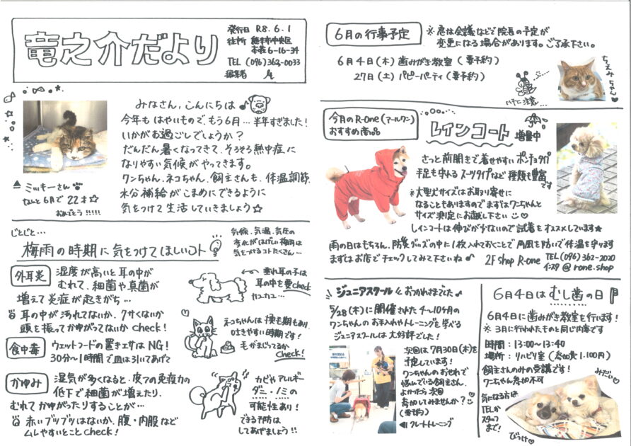 6月の竜之介だより