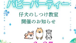 6月-パピーパーティー開催のお知らせ