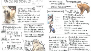2026年7月 竜之介だより第286号