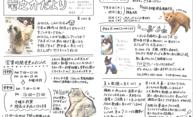 7月の竜之介だより