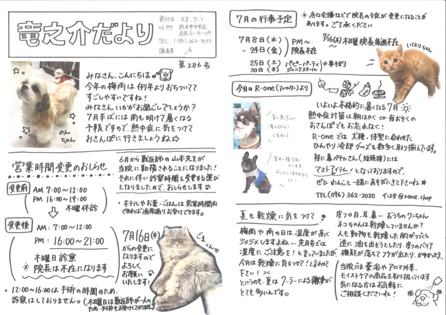 7月の竜之介だより