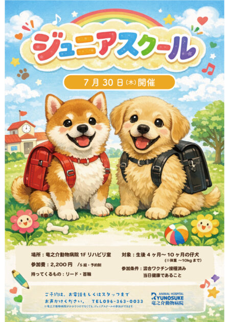 ジュニアスクール開催のお知らせ