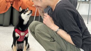 イベント-ジュニアスクール無事終了しました。2026.5.28（木曜）