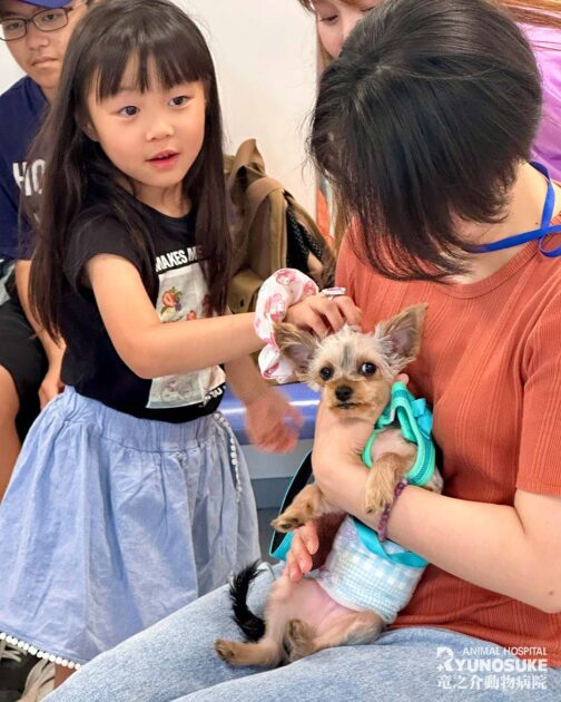 2026年7月のパピーパーティ