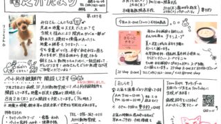 2026年8月 竜之介だより第287号
