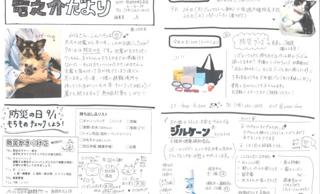 2026年9月の竜之介だより