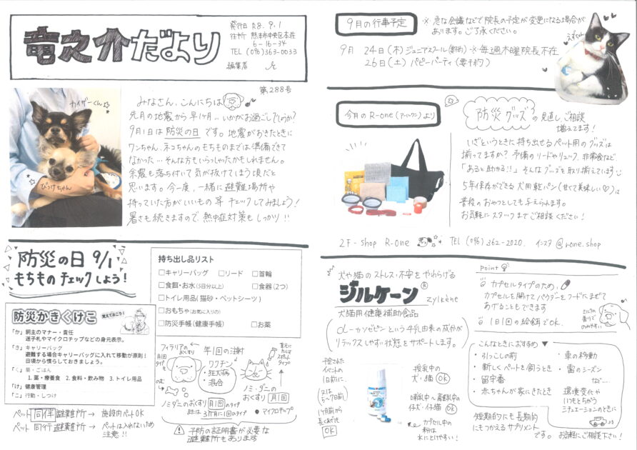 2026年9月の竜之介だより