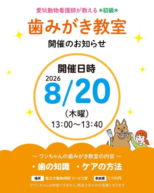 歯みがき教室2026年8月