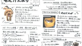 2026年10月 竜之介だより第289号