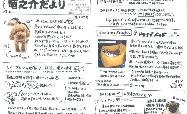 2026年10月の竜之介だより
